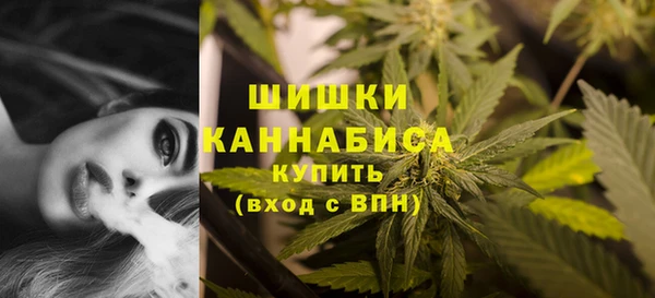 гашик Богородск