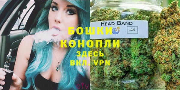 гашик Богородск