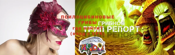 a pvp Богородицк
