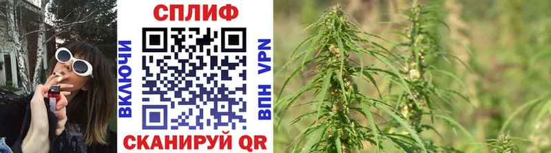Каннабис VHQ  МЕГА   Очёр 